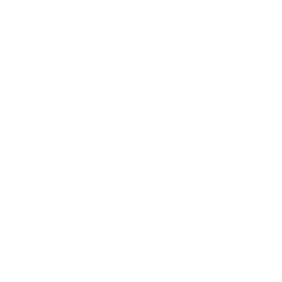 info icon